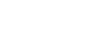 logo-raudix